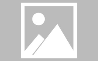 泗洪诸城定制网站建设（诸城网络科技有限公司）